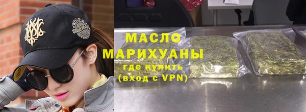 молекула духа Ельня