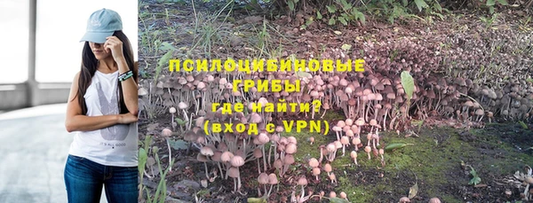 молекула духа Ельня