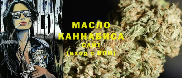молекула духа Ельня