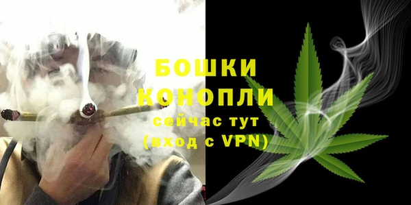 твердый Елизово