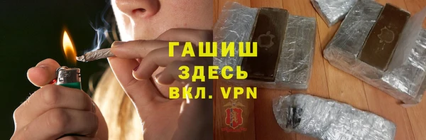 молекула духа Ельня
