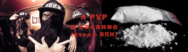 молекула духа Ельня