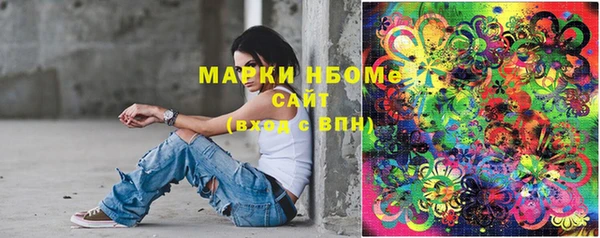 молекула духа Ельня