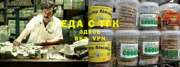 молекула духа Ельня