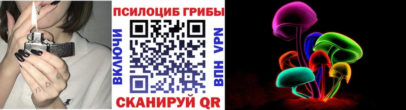 Галлюциногенные грибы Psilocybine cubensis Купить Мегион